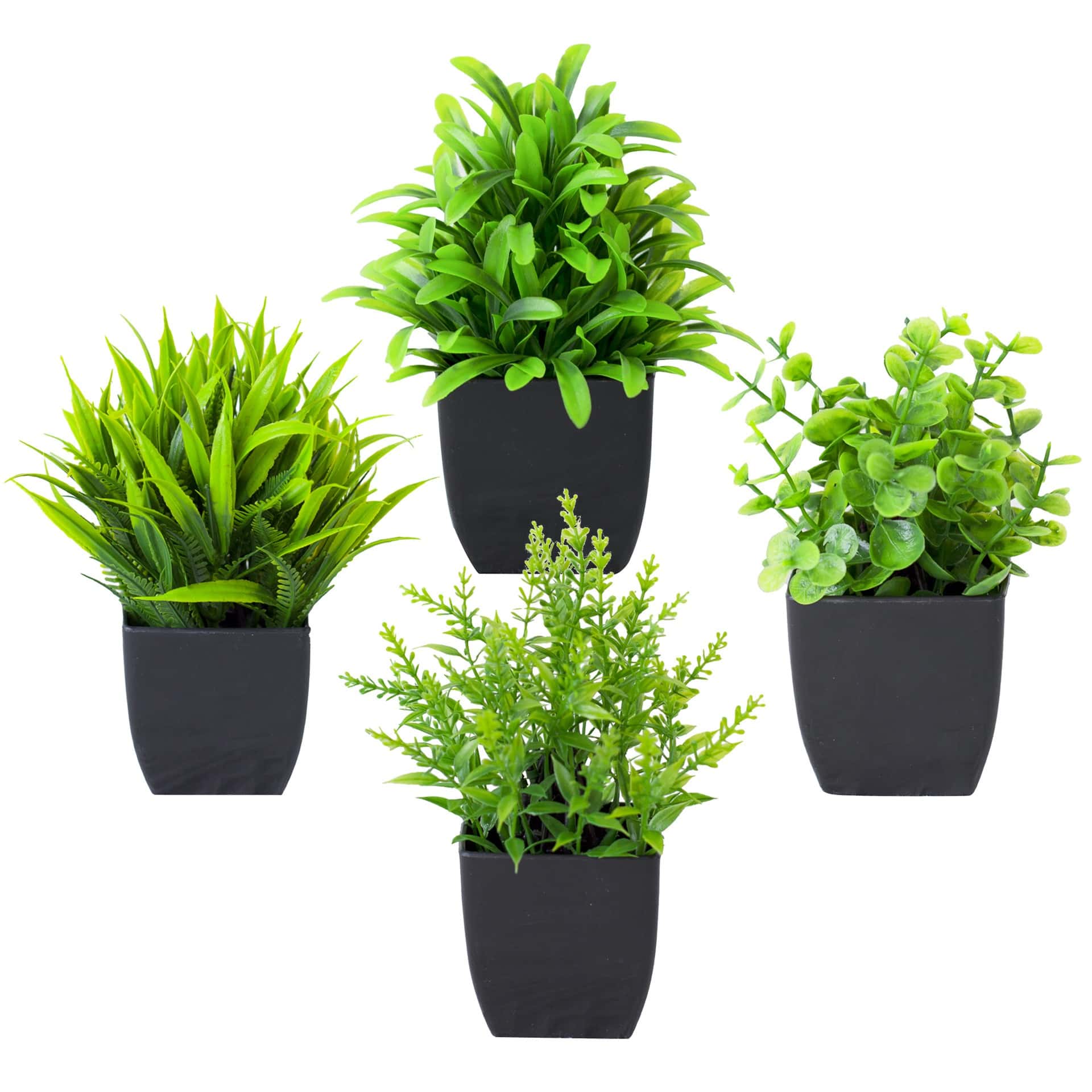 Interior Design Office - 1個のリアルなミニユーカリ鉢植え、黒い鉢付き、人工観葉植物、自宅、オフィス、バスルーム、テーブルトップ、棚、室内装飾用
