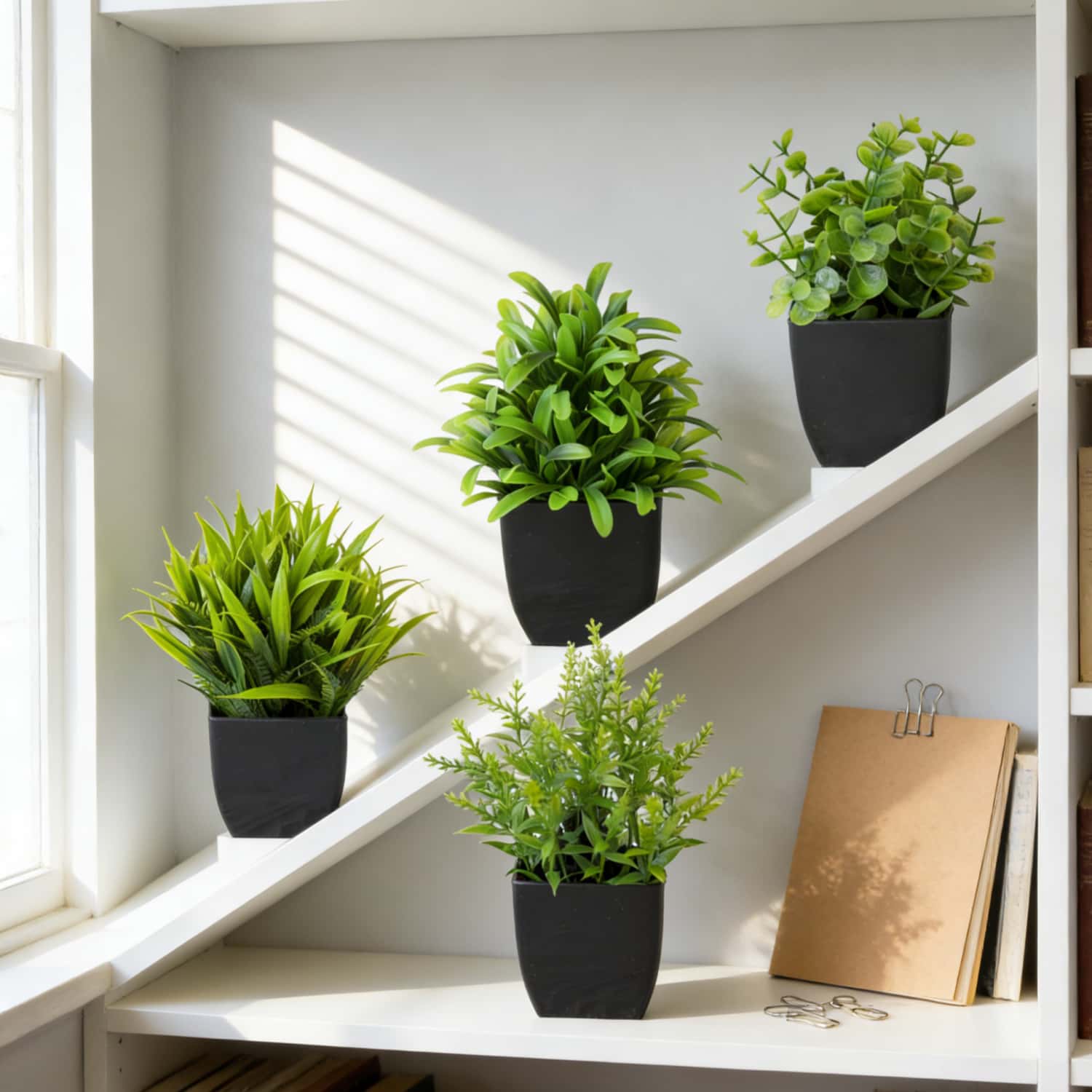 1個のリアルなミニユーカリ鉢植え、黒い鉢付き、人工観葉植物、 - Interior Design Office のレビューと価格