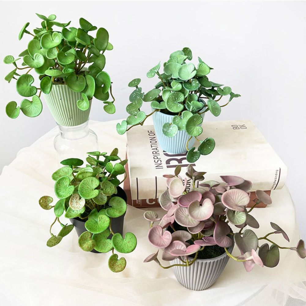柔らかい接着剤人工植物,エヴァ,緑の多肉植物の葉,壁掛け,家 - Interior Design Office のレビューと価格