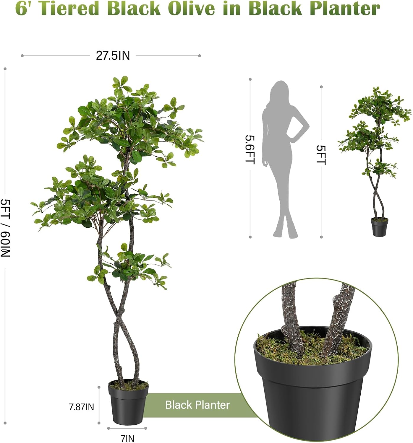 人工観葉植物（室内用）、高さ5～6フィートのフェイクブラック - Interior Design Office のレビューと価格