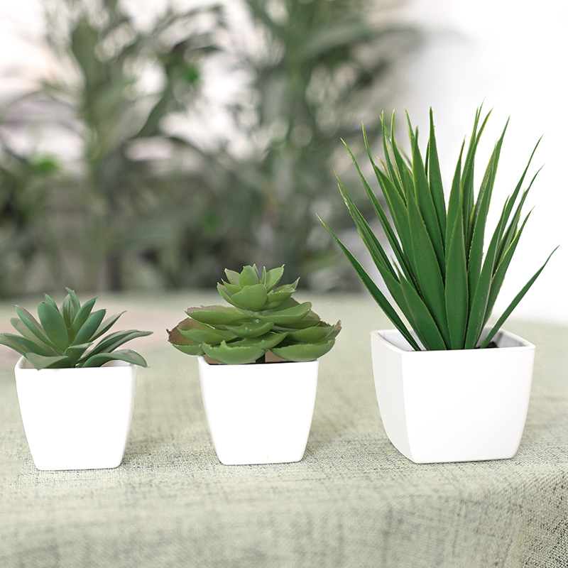 人工緑の植物盆栽,家庭,レストラン,オフィス,デスク,窓の装 - Interior Design Office のレビューと価格